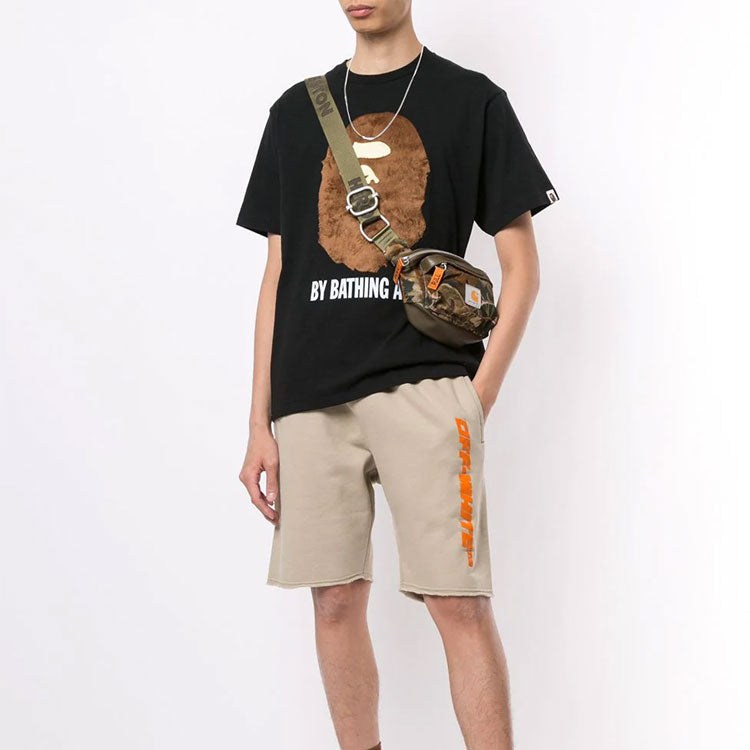 A Bathing Ape Ape Head Tee' Black Brown' BAPE-SS18-040