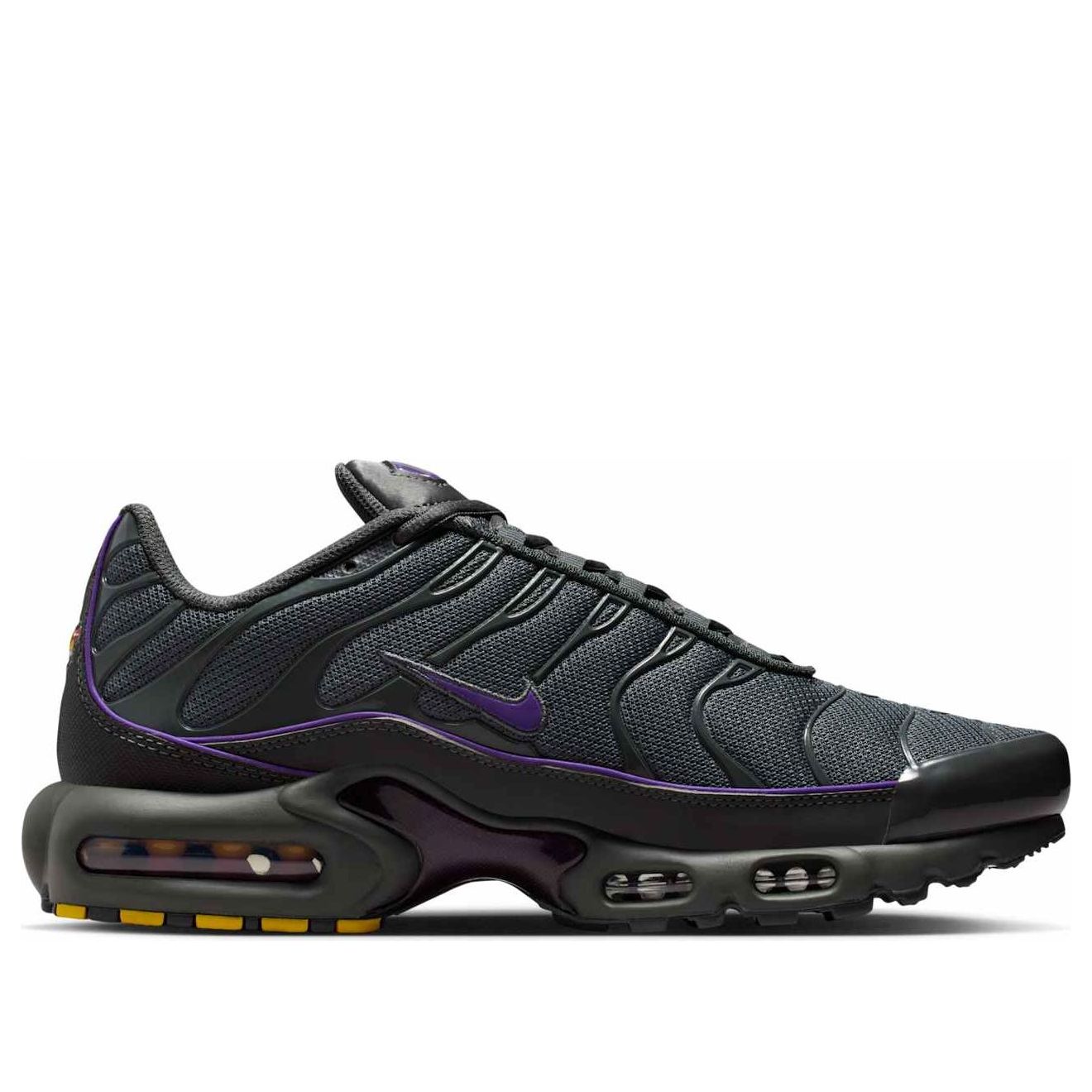Nike Air Max Plus 'Iron Grey Wild Grape' HV8066-001