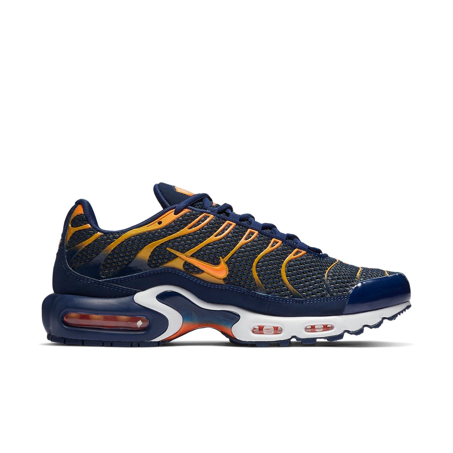 Nike Air Max Plus 'Blue Void' 852630-408