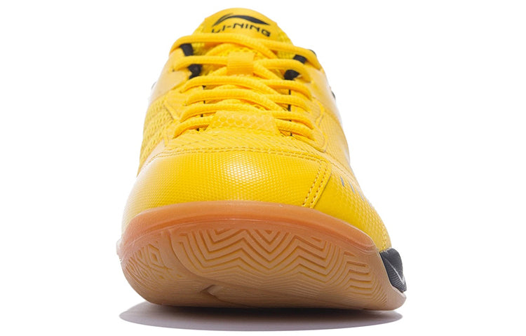 Li-Ning Badminton Training Shoes AYTP065-12