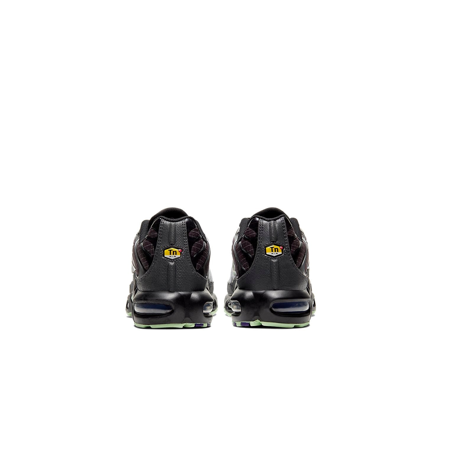 Nike Air Max Plus 'Future Swoosh' CT1619-001
