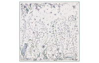 DIOR Silk Scarves Women's White