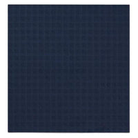 DIOR Silk Silk Scarves Men's Blue