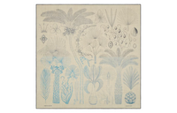 HERMES Knit Scarves Women's