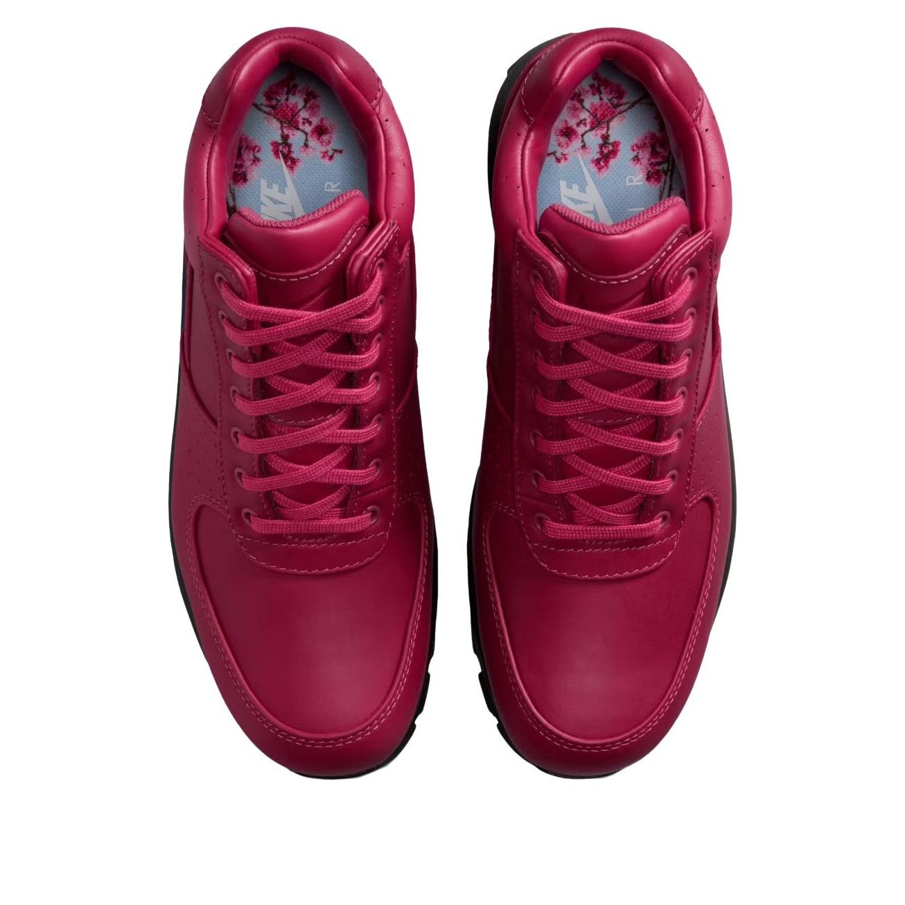 Nike Air Max Goadome 'DMV' IQ0610-633