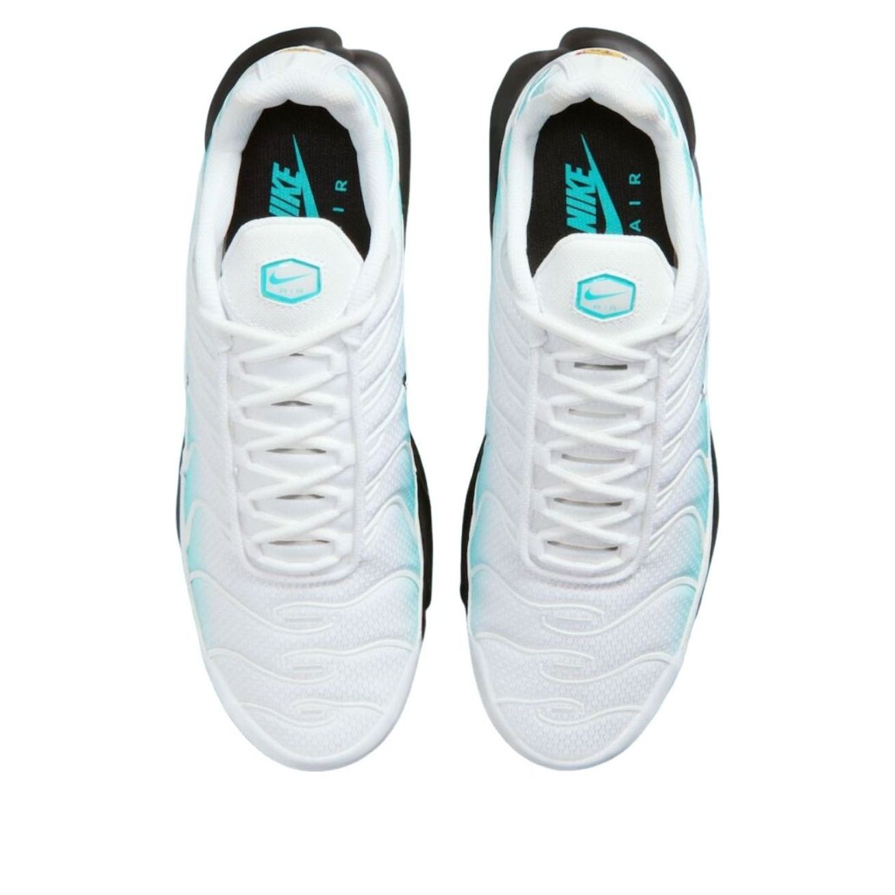 Nike Air Max Plus 'Dusty Cactus' IU7539-345