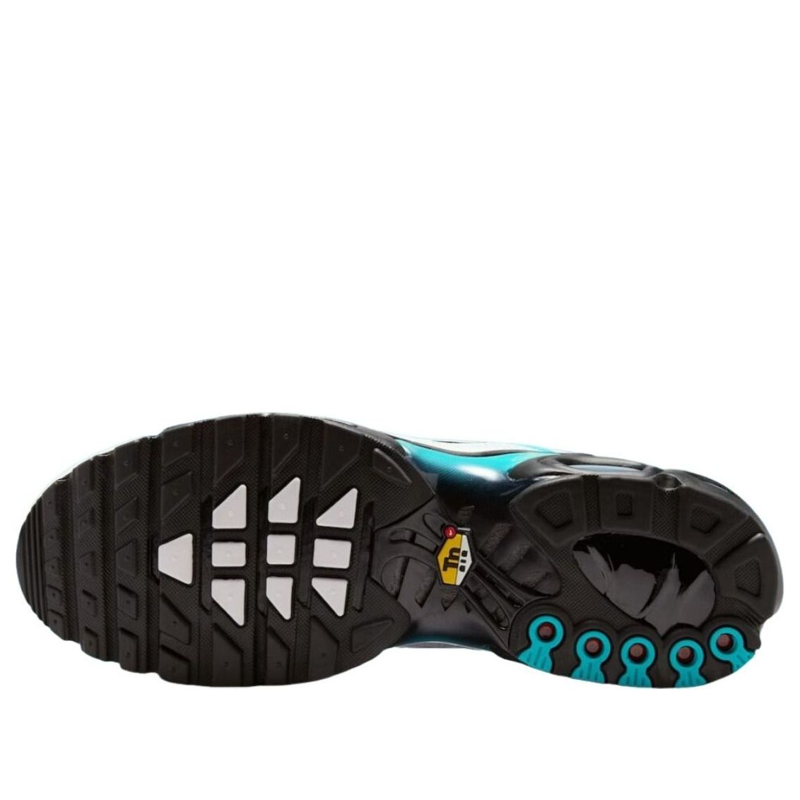 Nike Air Max Plus 'Dusty Cactus' IU7539-345