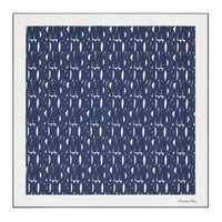 DIOR Silk Silk Scarves Women's Blue
